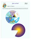 Daisies Creating Activity Pages Spanish