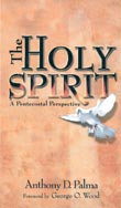 The Holy Spirit: A Pentecostal Perspective