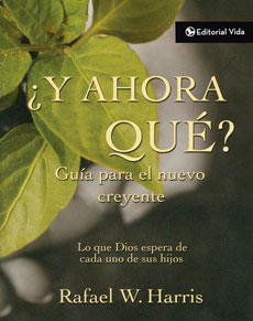 ¿Y ahora qué?