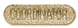 Coordinator Sponsor Pin
