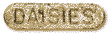 Daisies Sponsor Pin
