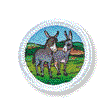 Donkeys Unit Badge
