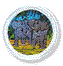 Elephants Unit Badge