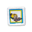 Stars Bible Survey Unit Badge