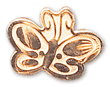 Friends Honor Sponsor Pin