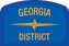 Georgia Geographic Patch