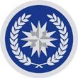 District Executive Leadership Patches