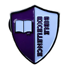 Bible Excellence Award Pin