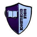 Bible Excellence Award Pin