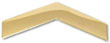 Sponsor's Service Award, 1 Year Pin