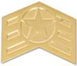 Sponsor's Service Award, 5 Year Pin