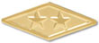 Sponsor's Service Award, 10 Year Pin