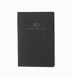 AG Journal Spanish