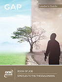 Graduates & Professionals Young Adult Leader's Guide